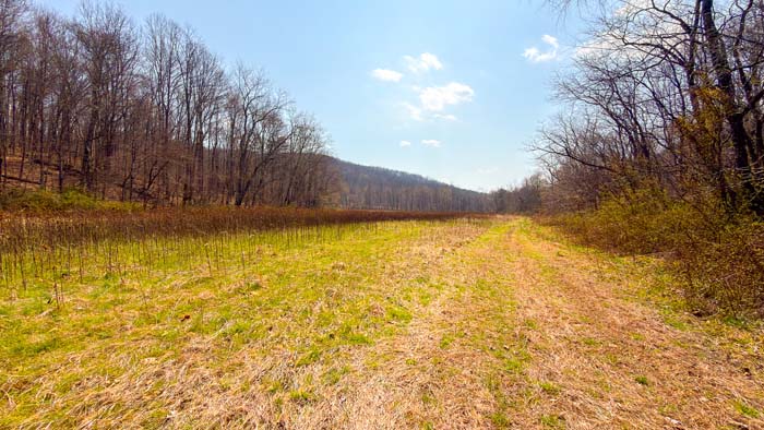 Open pasture areas ideal for food plots and hunting setups