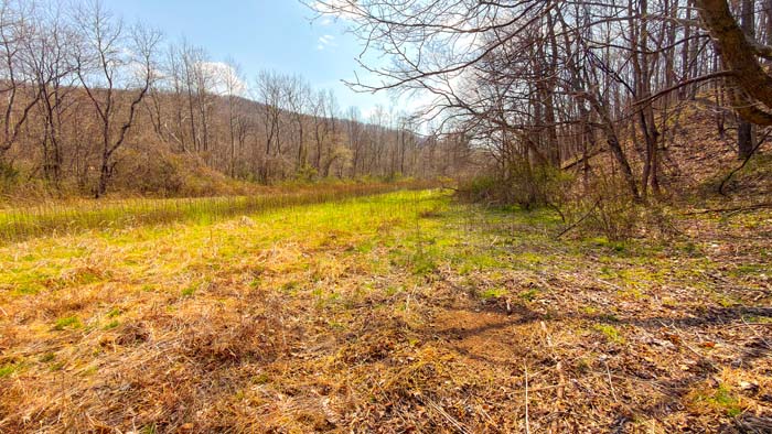 Scenic wooded terrain in southern Ohio