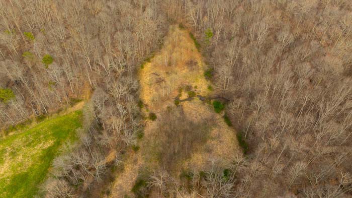 Recreational land with dense forest cover