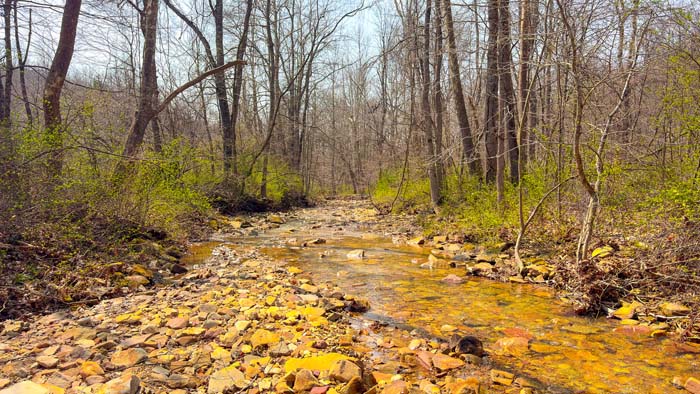 Hunting property with secluded cabin locations