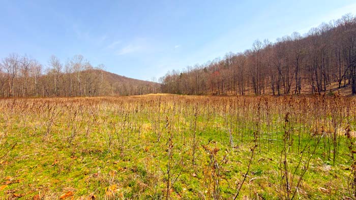 Remote hunting land at the end of a dead end road