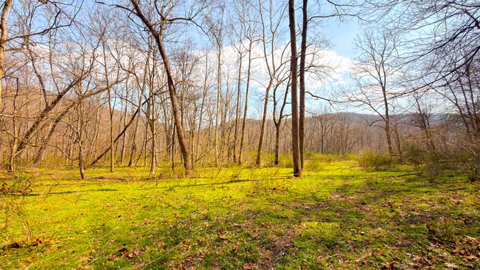 Trail system for easy navigation across acreage