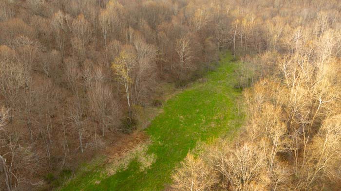 Wooded terrain with excellent cover and habitat