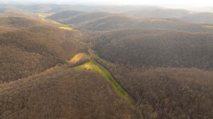 Quiet rural setting surrounded by timber