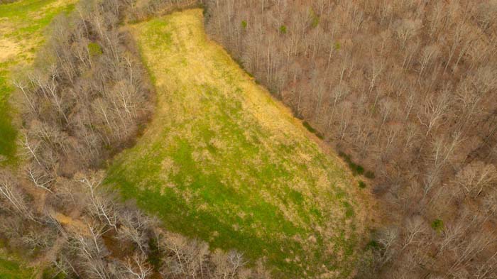 Ohio recreational land with wildlife features