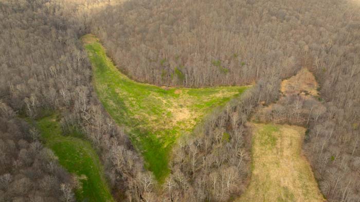 Secluded forest property with hunting opportunities