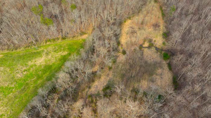 Trail access through mature timber stands