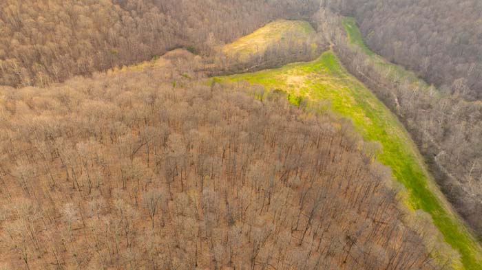 Recreational property with dense tree cover