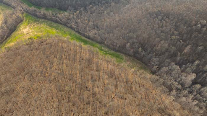 Wooded hills with established hunting trails
