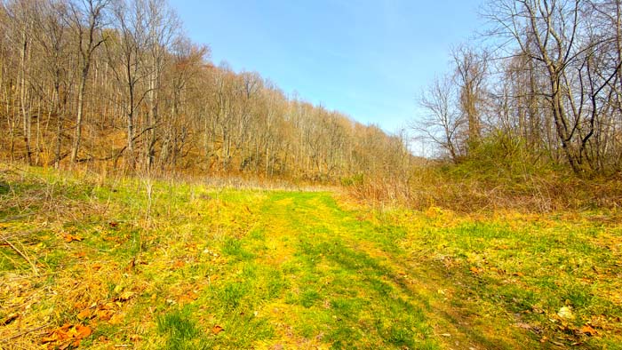 Aerial overview of secluded hunting acreage
