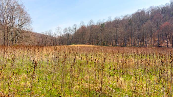 Quiet wooded setting ideal for hunting retreat