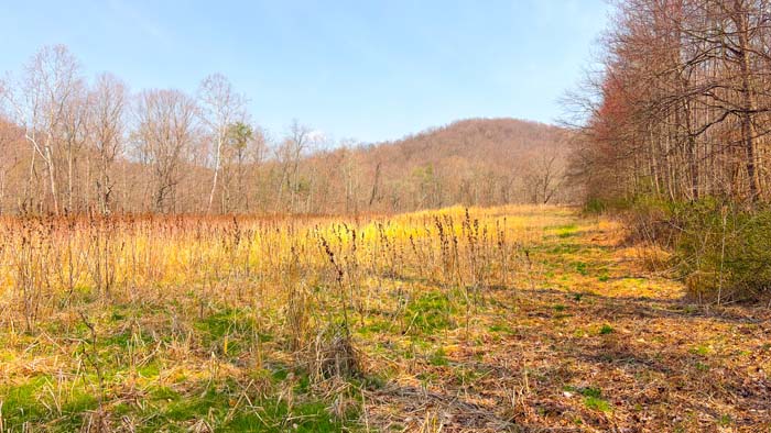 Trail system connecting key hunting areas