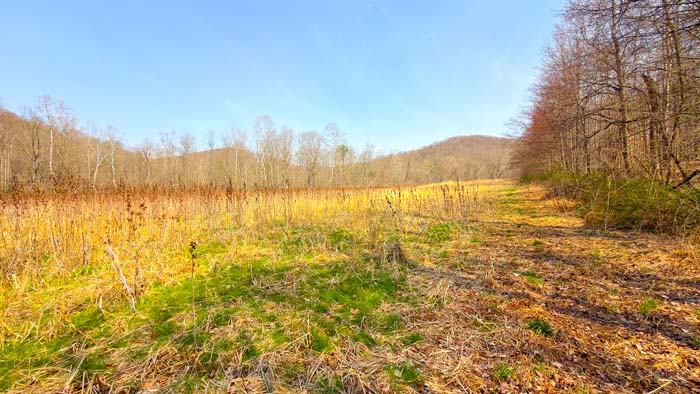 Southern Ohio land with strong wildlife presence