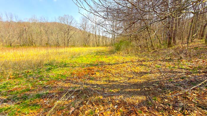 Secluded acreage with established hunting setup