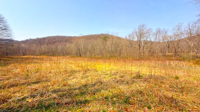 Wooded terrain with excellent deer habitat
