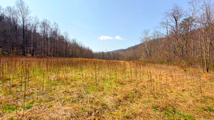 Recreational land in scenic southern Ohio