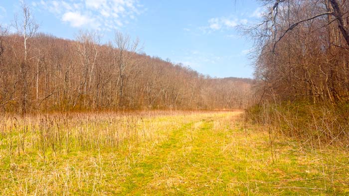 Aerial of hunting property with rolling terrain