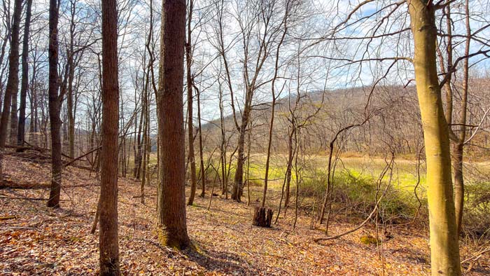 Private Ohio hunting land ready for use