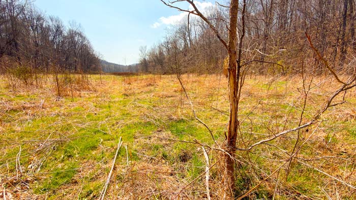 Aerial showing pasture and timber mix across acreage