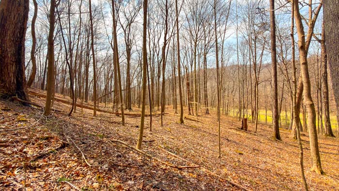 Large acreage hunting farm with mixed terrain