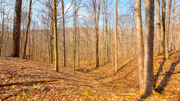 Wooded ridges offering excellent hunting locations