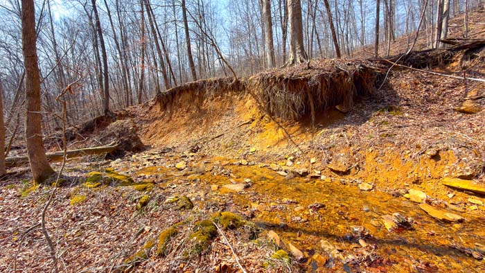 Pasture areas blending into timber sections