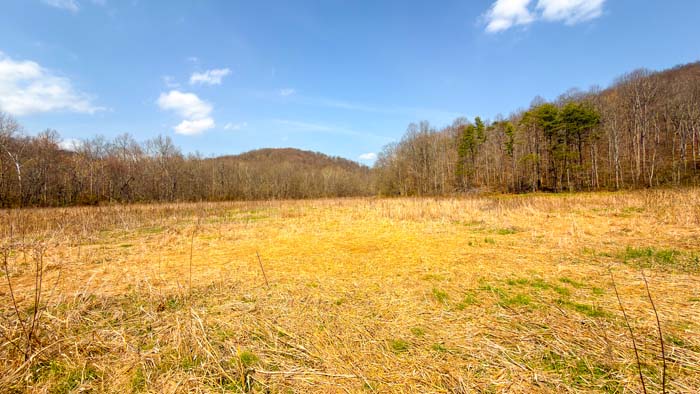 Wildlife rich environment in southern Ohio