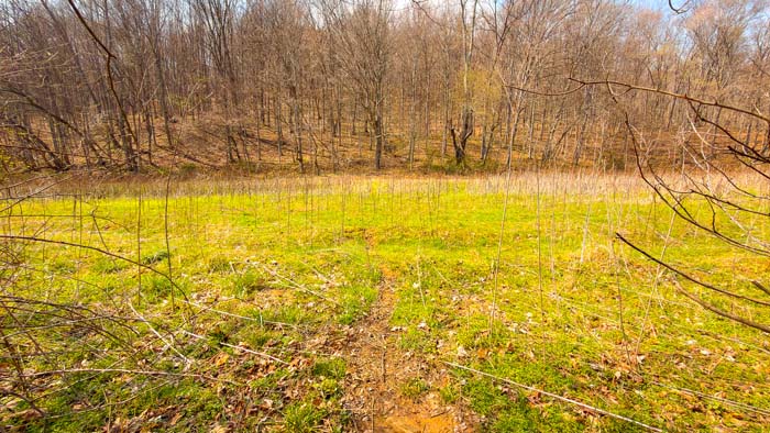 Aerial showing mix of open and wooded ground