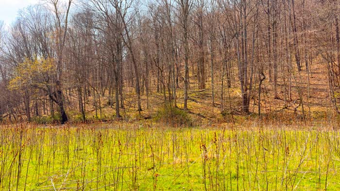 Strategic hunting layout across acreage