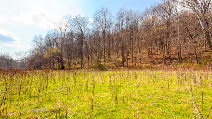 Rolling hills and natural funnels for deer movement