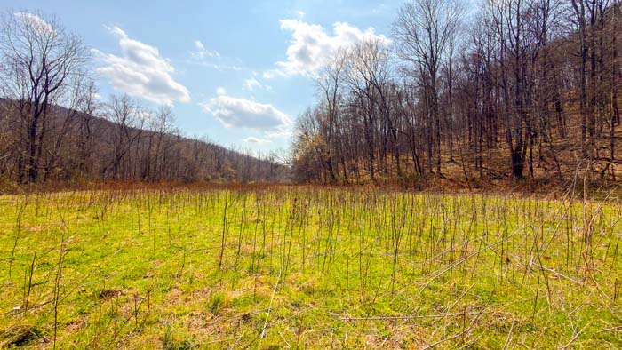 Secluded hunting land with natural beauty