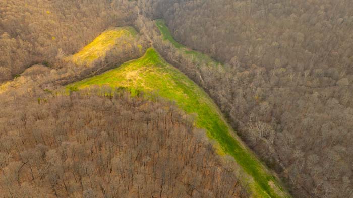 Trail system through mature forest for hunting access