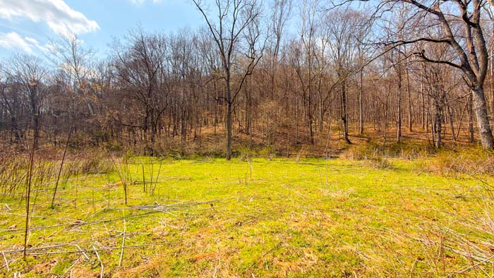 Timber and terrain supporting wildlife habitat