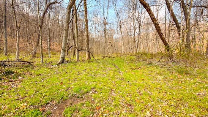 Private recreational property in Ohio countryside