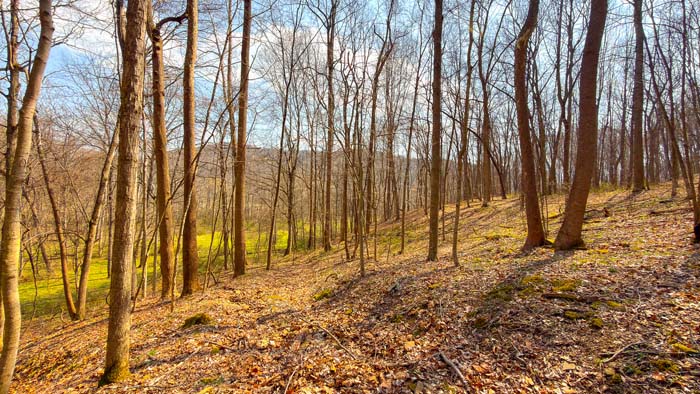 Southern Ohio hunting property with diverse landscape