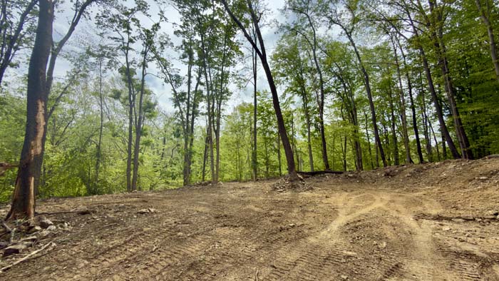 Elevated build site on wooded Pike County property