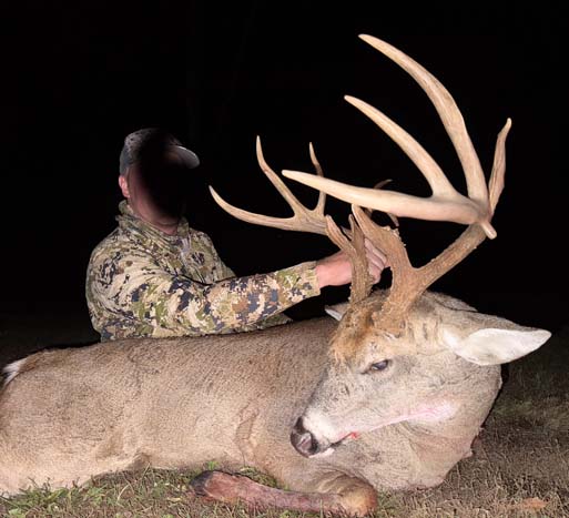 Southern Ohio wooded land for sale with mature timber and rolling terrain