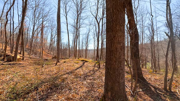 All wooded tract with strong deer and turkey hunting potential