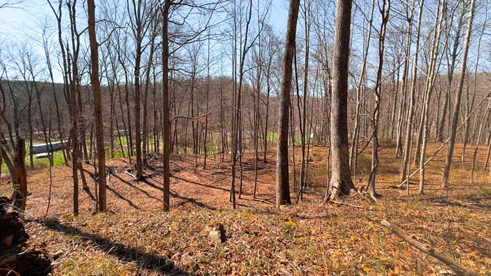 Southern Ohio acreage with thick cover and natural habitat
