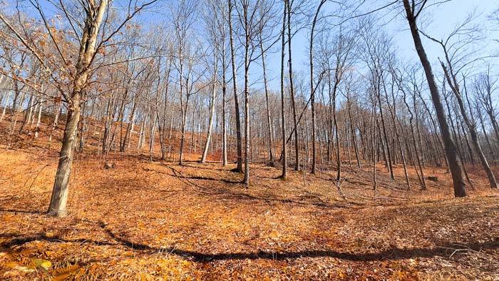 Timbered acreage suitable for hunting or cabin retreat