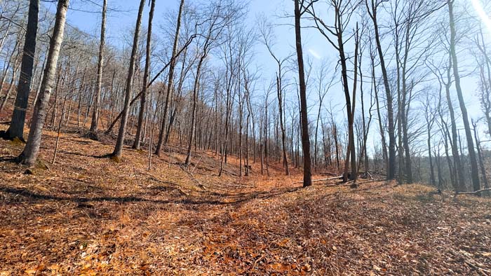 Southern Ohio land with excellent wildlife movement and habitat