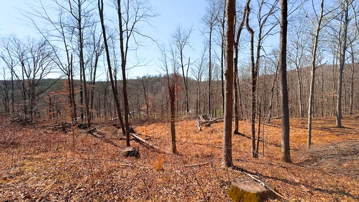 Recreational land with timber and rolling landscape