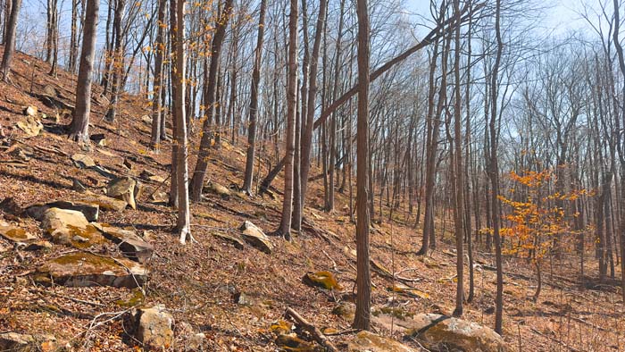 Southern Ohio land with road frontage and development potential