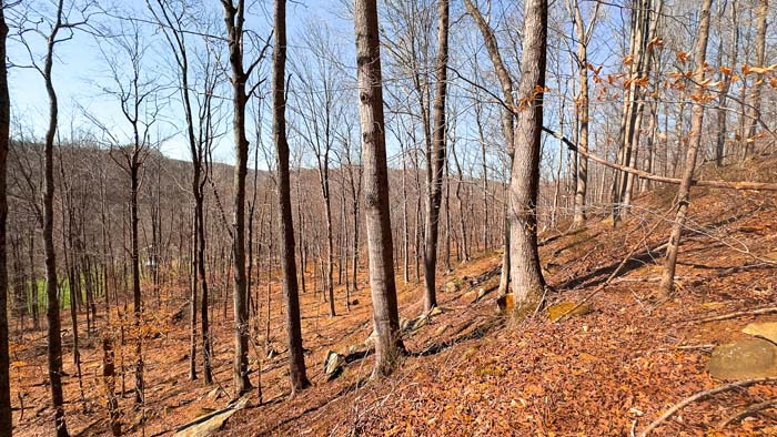 Southern Ohio property with multiple access points and timber