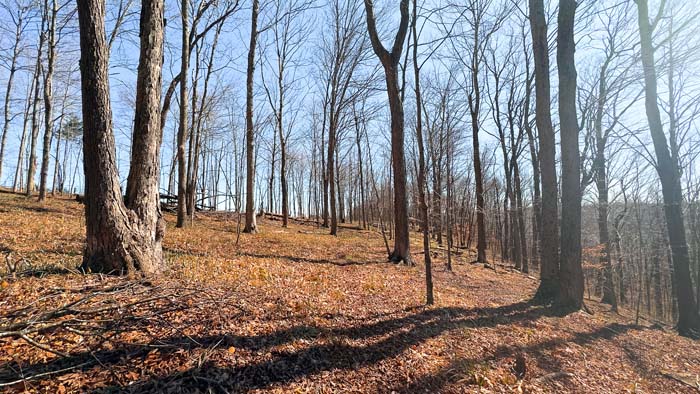 Acreage with potential for home sites or hunting cabin