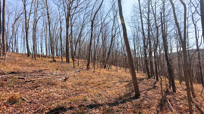 Southern Ohio acreage with scenic wooded setting