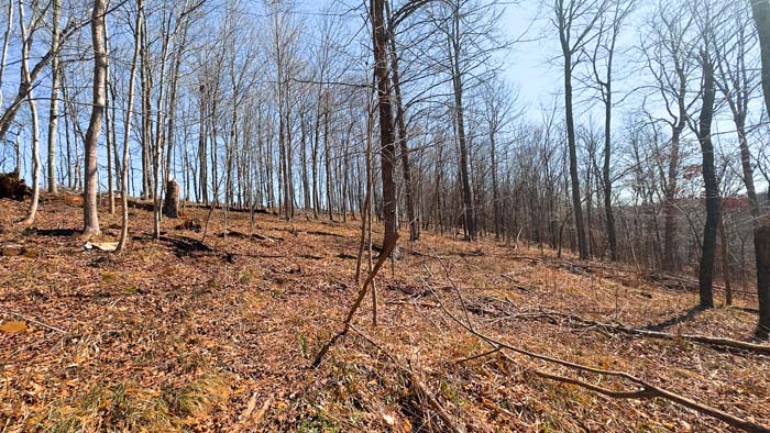 All wooded property with rolling terrain and quiet location