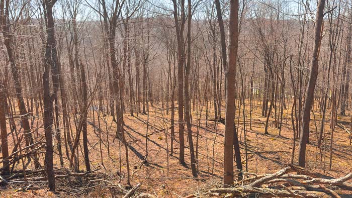 Timberland with natural beauty and secluded environment