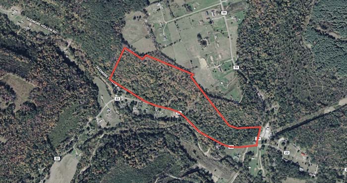 Timbered hunting property with natural bedding areas