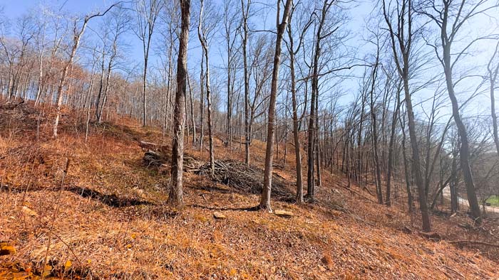 Ohio land for sale with mature hardwoods and secluded setting